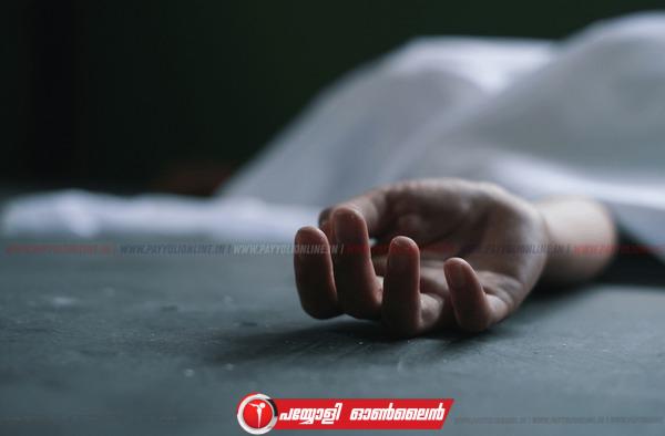 മരടിൽ വീട് പൊളിച്ചു മാറ്റുന്നതിനിടെ ഭിത്തി ഇടിഞ്ഞു വീണ് അപകടം; തൊഴിലാളിയ്ക്ക് ദാരുണാന്ത്യം