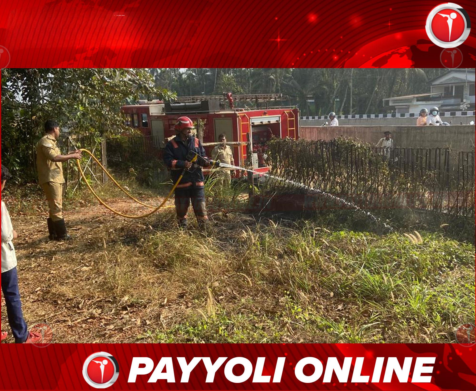 ഇലക്ട്രിക് ലൈനിൽ നിന്നുള്ള സ്പാർക്കിൽ ചെങ്ങോട്ട് കാവില്‍   അടിക്കാടിന് തീപിടിച്ചു