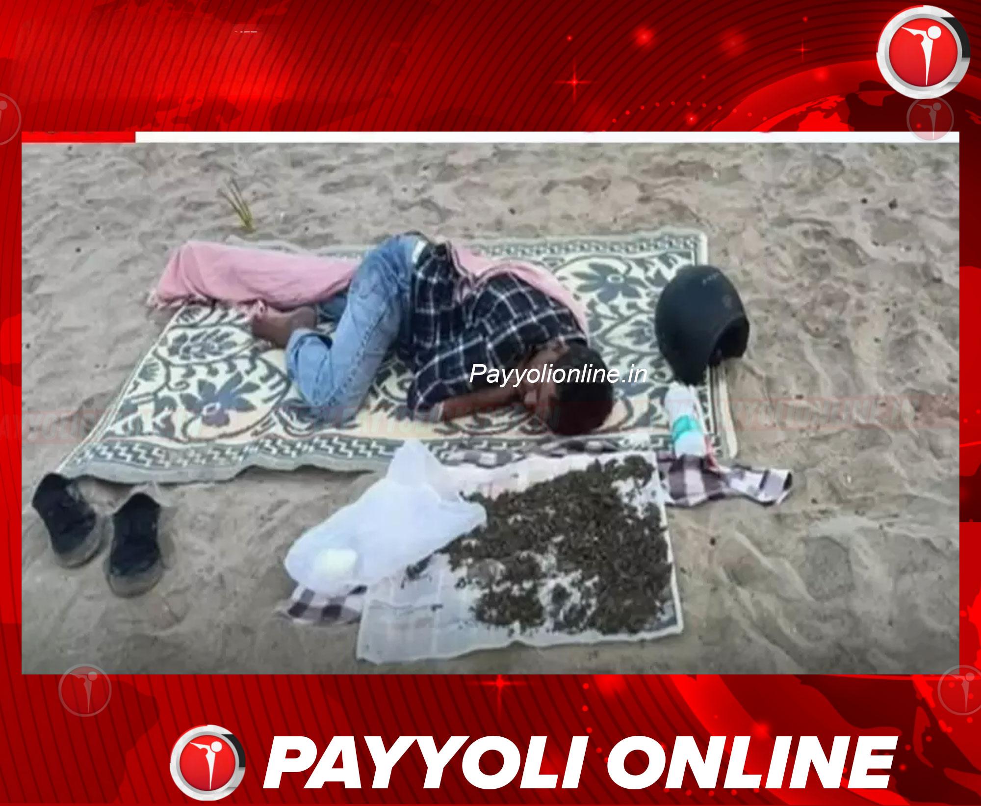 കോഴിക്കോട് ബീച്ചില്‍ കഞ്ചാവ് ഉണക്കാനിട്ട് കിടന്നുറങ്ങിയയാള്‍ പൊലീസ് പിടിയില്‍