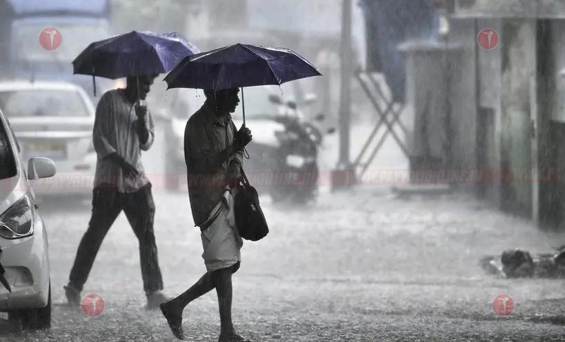 കേരളത്തിൽ മഴ കനക്കും; അഞ്ച് ദിവസത്തേക്ക് വിവിധ ജില്ലകളിൽ യെല്ലോ അലേർട്ട് 