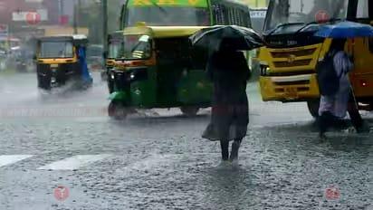 സംസ്ഥാനത്ത് വീണ്ടും മഴ ശക്തമാകുന്നു: 7 ജില്ലകളിൽ യെല്ലോ അലർട്ട്, ശക്തമായ കാറ്റിനും ഇടിമിന്നലിനും സാധ്യത