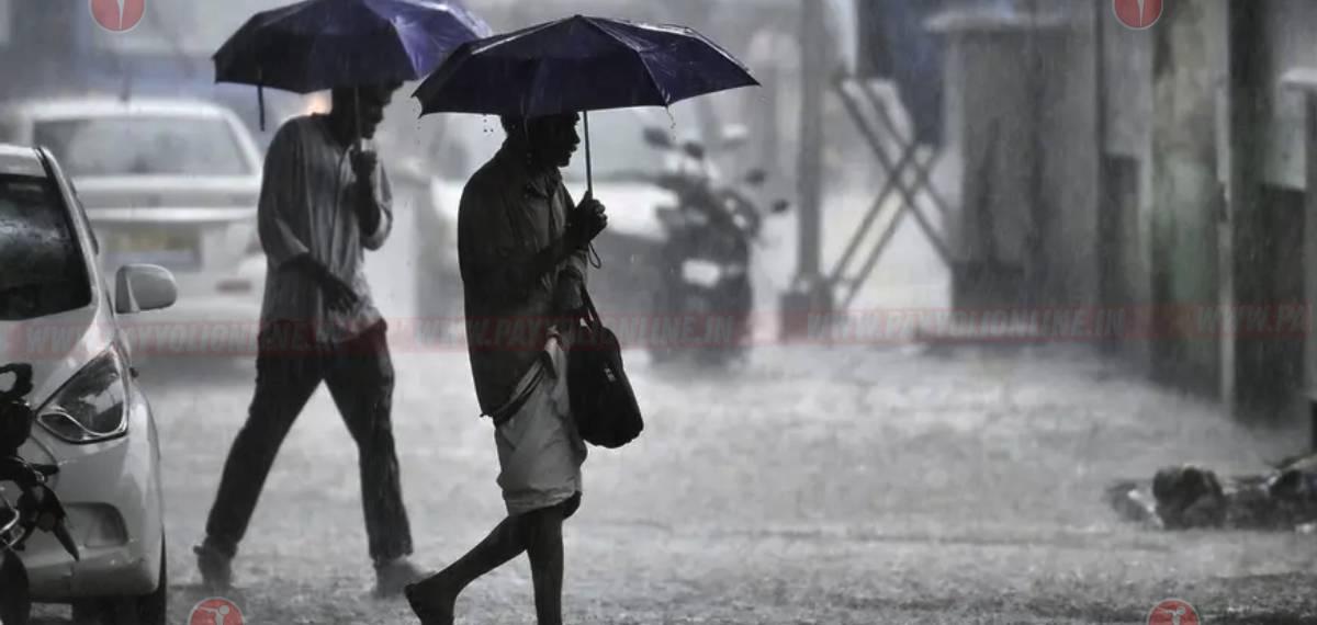 ഇന്നും ശക്തമായ മഴയ്ക്ക് സാധ്യത; അഞ്ച് ജില്ലകളിൽ യെല്ലോ അലേർട്ട്