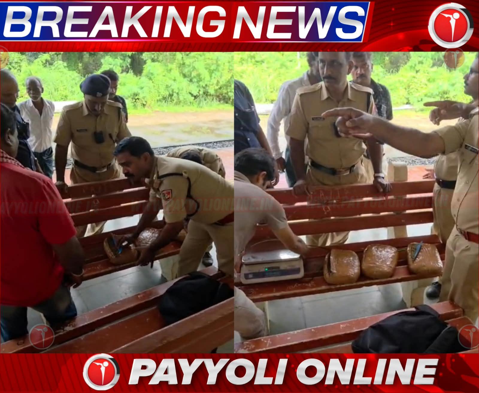 ഓണം സ്‌പെഷ്യൽ ഡ്രൈവ്: വടകര റെയിൽവേ സ്റ്റേഷനിൽ നിന്ന് 4.5 കിലോഗ്രാം കഞ്ചാവ് പിടികൂടി- വീഡിയോ